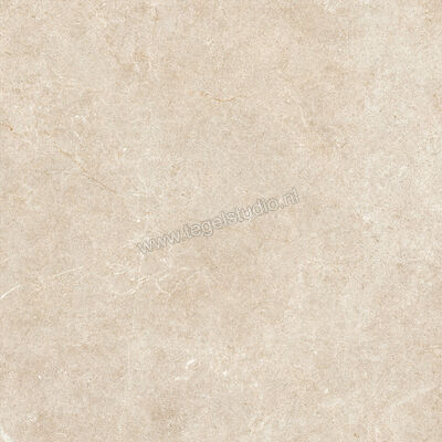  Ragno Realstone_Argent Sabbia 75x75 cm Vloertegel / Wandtegel Mat Vlak Naturale R9JK | 340532