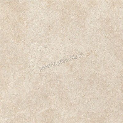  Ragno Realstone_Argent Sabbia 75x75 cm Vloertegel / Wandtegel Mat Vlak Naturale R9JK | 340535