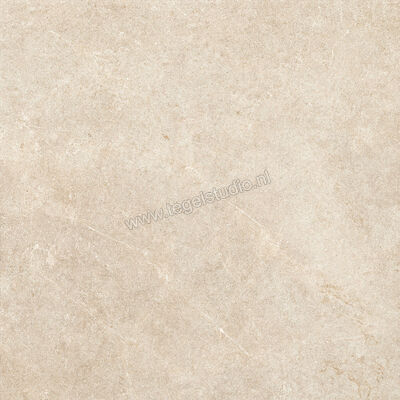  Ragno Realstone_Argent Sabbia 75x75 cm Vloertegel / Wandtegel Mat Vlak Naturale R9JK | 340538