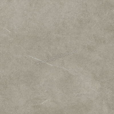  Ragno Realstone_Argent Ghiaccio 75x75 cm Vloertegel / Wandtegel Mat Vlak Naturale R9JL | 340553