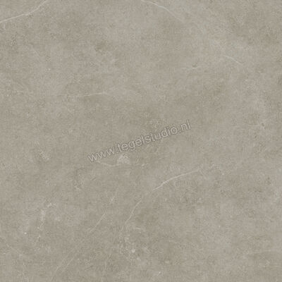  Ragno Realstone_Argent Ghiaccio 75x75 cm Vloertegel / Wandtegel Mat Vlak Naturale R9JL | 340556