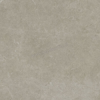  Ragno Realstone_Argent Ghiaccio 75x75 cm Vloertegel / Wandtegel Mat Vlak Naturale R9JL | 340559