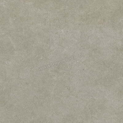  Ragno Realstone_Argent Ghiaccio 75x75 cm Vloertegel / Wandtegel Mat Vlak Naturale R9JL | 340562