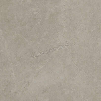  Ragno Realstone_Argent Ghiaccio 75x75 cm Vloertegel / Wandtegel Mat Vlak Naturale R9JL | 340565