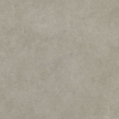  Ragno Realstone_Argent Ghiaccio 75x75 cm Vloertegel / Wandtegel Mat Vlak Naturale R9JL | 340568