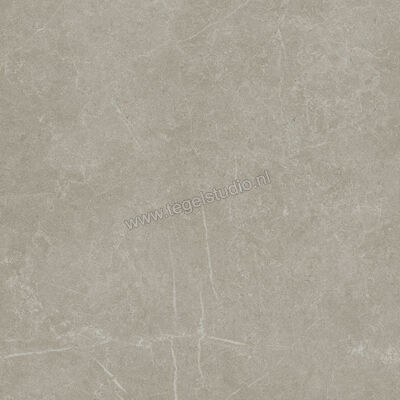  Ragno Realstone_Argent Ghiaccio 75x75 cm Vloertegel / Wandtegel Mat Vlak Naturale R9JL | 340571