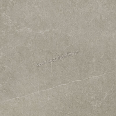  Ragno Realstone_Argent Ghiaccio 75x75 cm Vloertegel / Wandtegel Mat Vlak Naturale R9JL | 340574
