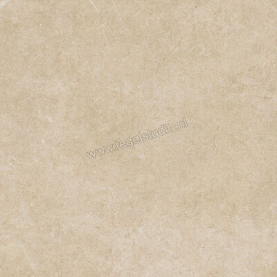  Ragno Realstone_Argent Miele 75x75 cm Vloertegel / Wandtegel Mat Vlak Naturale R9JM | 340586