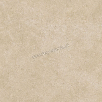 Ragno Realstone_Argent Miele 75x75 cm Vloertegel / Wandtegel Mat Vlak Naturale R9JM | 340589
