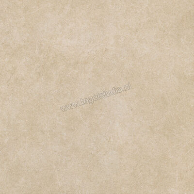  Ragno Realstone_Argent Miele 75x75 cm Vloertegel / Wandtegel Mat Vlak Naturale R9JM | 340595