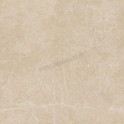  Ragno Realstone_Argent Miele 75x75 cm Vloertegel / Wandtegel Mat Vlak Naturale R9JM | 340598