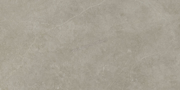  Ragno Realstone_Argent Ghiaccio 75x150 cm Vloertegel / Wandtegel Mat Vlak Naturale R9JR | 340664