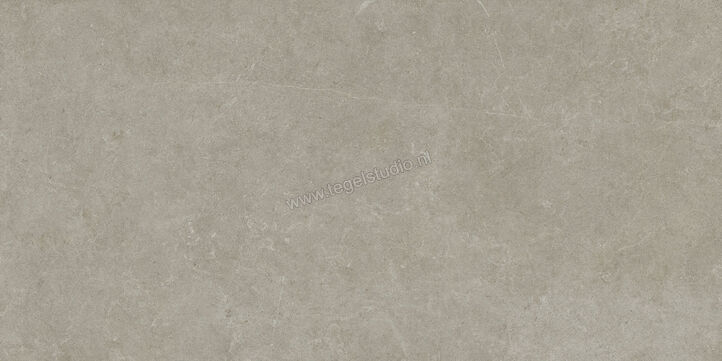  Ragno Realstone_Argent Ghiaccio 75x150 cm Vloertegel / Wandtegel Mat Vlak Naturale R9JR | 340667