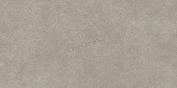  Ragno Realstone_Argent Ghiaccio 75x150 cm Vloertegel / Wandtegel Mat Vlak Naturale R9JR | 340670