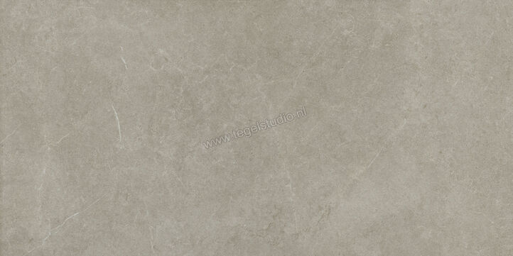  Ragno Realstone_Argent Ghiaccio 75x150 cm Vloertegel / Wandtegel Mat Vlak Naturale R9JR | 340673