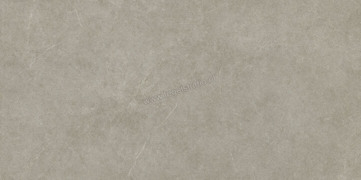  Ragno Realstone_Argent Ghiaccio 75x150 cm Vloertegel / Wandtegel Mat Vlak Naturale R9JR | 340676