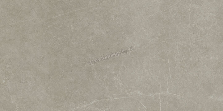  Ragno Realstone_Argent Ghiaccio 75x150 cm Vloertegel / Wandtegel Mat Vlak Naturale R9JR | 340679
