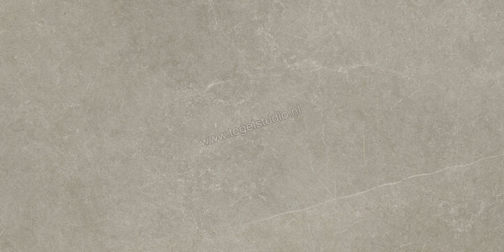  Ragno Realstone_Argent Ghiaccio 75x150 cm Vloertegel / Wandtegel Mat Vlak Naturale R9JR | 340682