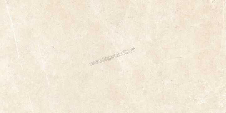  Ragno Realstone_Argent Avorio 60x120 cm Vloertegel / Wandtegel Mat Vlak Naturale R9KK | 340718