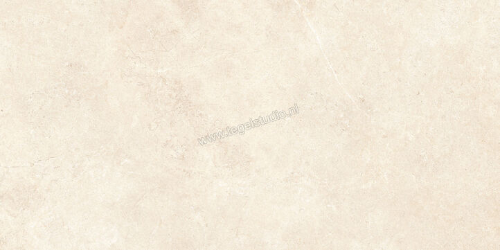  Ragno Realstone_Argent Avorio 60x120 cm Vloertegel / Wandtegel Mat Vlak Naturale R9KK | 340724