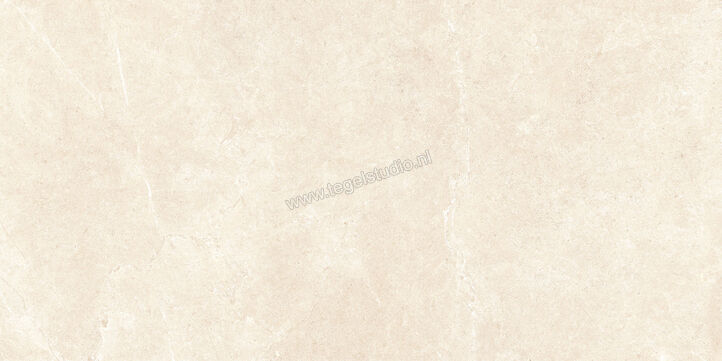  Ragno Realstone_Argent Avorio 60x120 cm Vloertegel / Wandtegel Mat Vlak Naturale R9KK | 340736