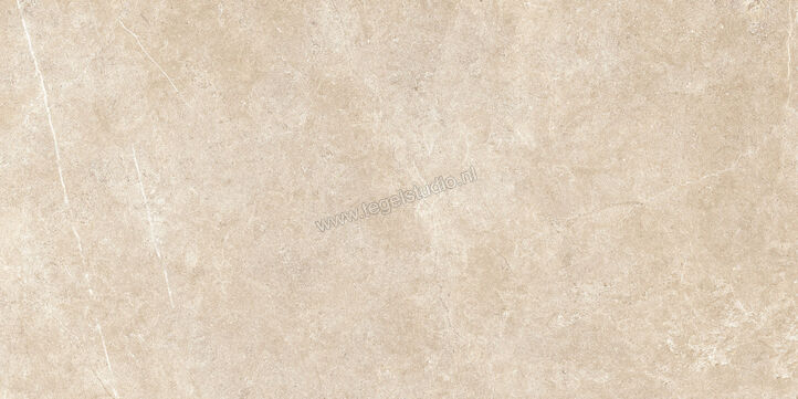  Ragno Realstone_Argent Sabbia 60x120 cm Vloertegel / Wandtegel Mat Vlak Naturale R9KL | 340745