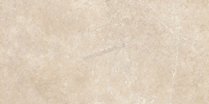  Ragno Realstone_Argent Sabbia 60x120 cm Vloertegel / Wandtegel Mat Vlak Naturale R9KL | 340748