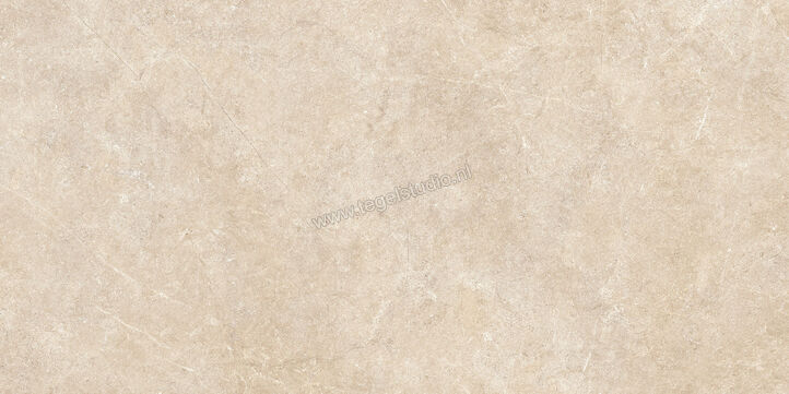  Ragno Realstone_Argent Sabbia 60x120 cm Vloertegel / Wandtegel Mat Vlak Naturale R9KL | 340760
