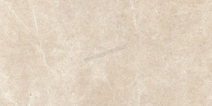  Ragno Realstone_Argent Sabbia 60x120 cm Vloertegel / Wandtegel Mat Vlak Naturale R9KL | 340763