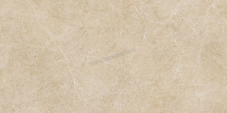  Ragno Realstone_Argent Miele 30x60 cm Vloertegel / Wandtegel Mat Vlak Naturale R9KY | 340985