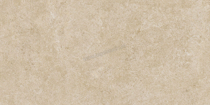  Ragno Realstone_Argent Miele 30x60 cm Vloertegel / Wandtegel Mat Vlak Naturale R9KY | 340988