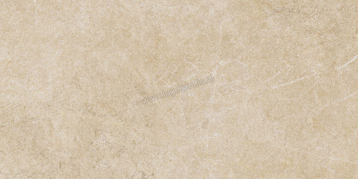  Ragno Realstone_Argent Miele 30x60 cm Vloertegel / Wandtegel Mat Vlak Naturale R9KY | 340991