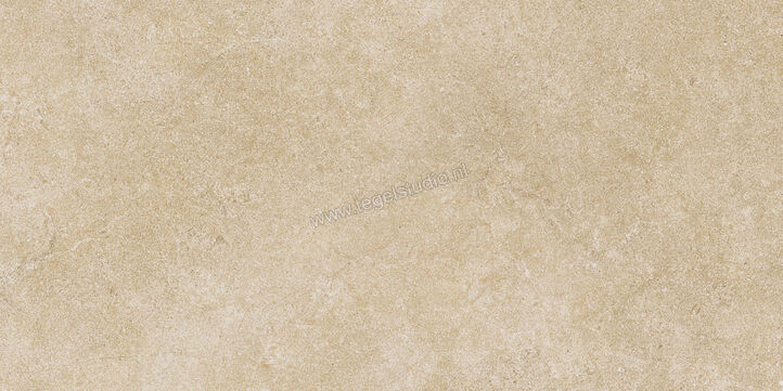  Ragno Realstone_Argent Miele 30x60 cm Vloertegel / Wandtegel Mat Vlak Naturale R9KY | 340994