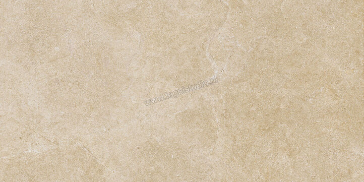  Ragno Realstone_Argent Miele 30x60 cm Vloertegel / Wandtegel Mat Vlak Naturale R9KY | 340997