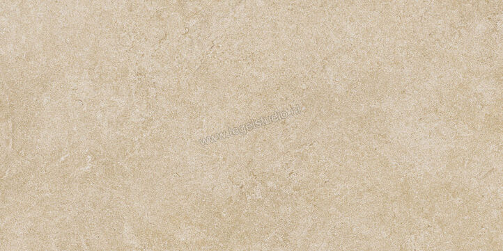  Ragno Realstone_Argent Miele 30x60 cm Vloertegel / Wandtegel Mat Vlak Naturale R9KY | 341000
