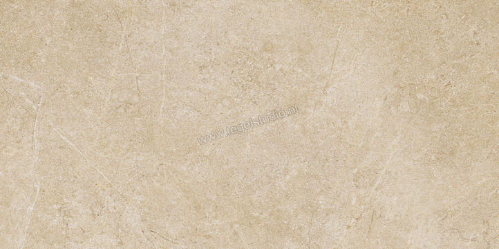  Ragno Realstone_Argent Miele 30x60 cm Vloertegel / Wandtegel Mat Vlak Naturale R9KY | 341003