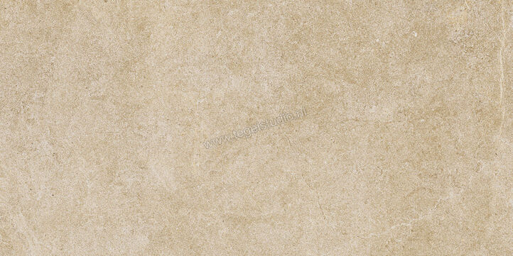  Ragno Realstone_Argent Miele 30x60 cm Vloertegel / Wandtegel Mat Vlak Naturale R9KY | 341006