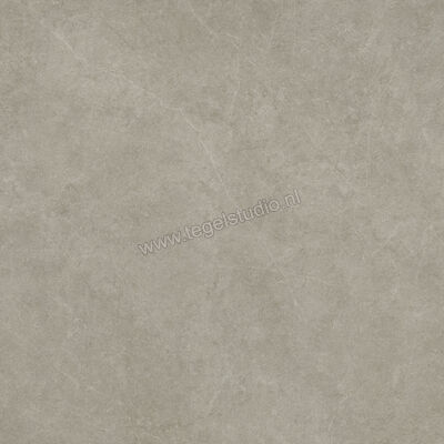  Ragno Realstone_Argent Ghiaccio 120x120 cm Vloertegel / Wandtegel Slim Mat Vlak Naturale R9LR | 341039