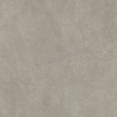  Ragno Realstone_Argent Ghiaccio 120x120 cm Vloertegel / Wandtegel Slim Mat Vlak Naturale R9LR | 341042