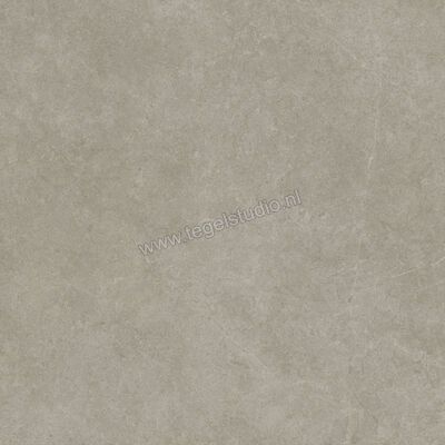  Ragno Realstone_Argent Ghiaccio 120x120 cm Vloertegel / Wandtegel Slim Mat Vlak Naturale R9LR | 341048