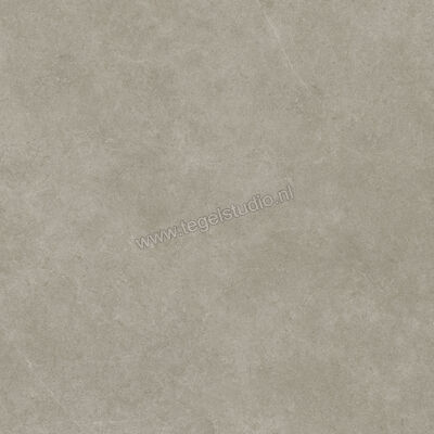  Ragno Realstone_Argent Ghiaccio 120x120 cm Vloertegel / Wandtegel Slim Mat Vlak Naturale R9LR | 341051
