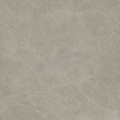  Ragno Realstone_Argent Ghiaccio 120x120 cm Vloertegel / Wandtegel Slim Mat Vlak Naturale R9LR | 341054