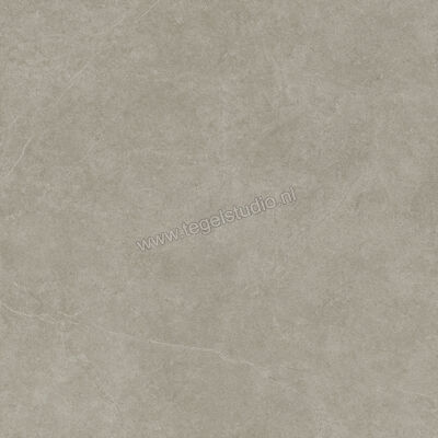  Ragno Realstone_Argent Ghiaccio 120x120 cm Vloertegel / Wandtegel Slim Mat Vlak Naturale R9LR | 341057