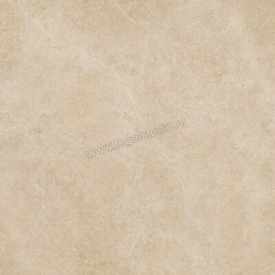  Ragno Realstone_Argent Miele 120x120 cm Vloertegel / Wandtegel Slim Mat Vlak Naturale R9LS | 341060