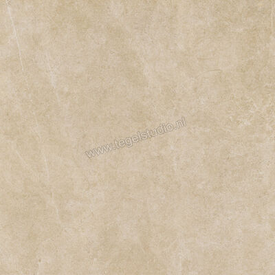  Ragno Realstone_Argent Miele 120x120 cm Vloertegel / Wandtegel Slim Mat Vlak Naturale R9LS | 341063