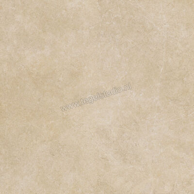  Ragno Realstone_Argent Miele 120x120 cm Vloertegel / Wandtegel Slim Mat Vlak Naturale R9LS | 341066