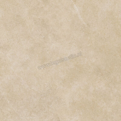  Ragno Realstone_Argent Miele 120x120 cm Vloertegel / Wandtegel Slim Mat Vlak Naturale R9LS | 341069