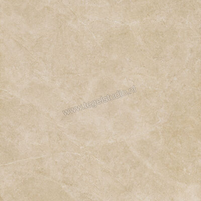 Ragno Realstone_Argent Miele 120x120 cm Vloertegel / Wandtegel Slim Mat Vlak Naturale R9LS | 341072