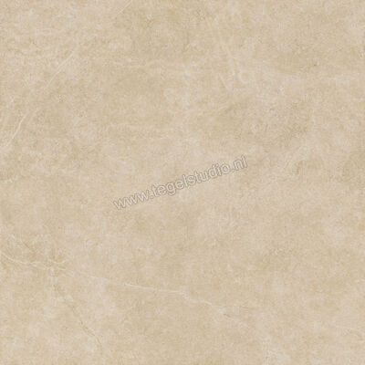 Ragno Realstone_Argent Miele 120x120 cm Vloertegel / Wandtegel Slim Mat Vlak Naturale R9LS | 341075