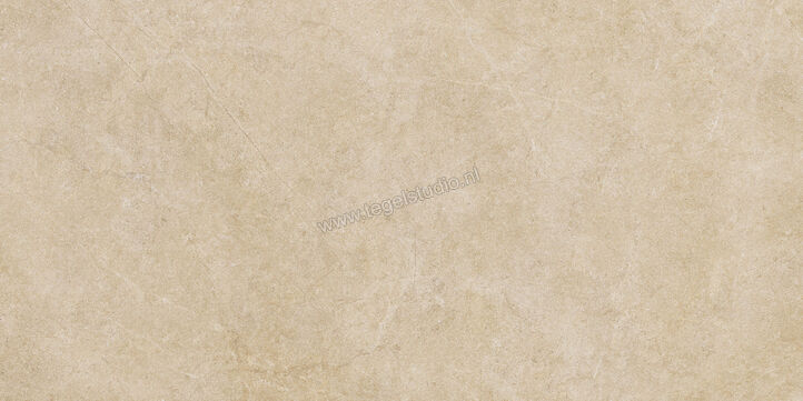  Ragno Realstone_Argent Miele 60x120 cm Vloertegel / Wandtegel Slim Mat Vlak Naturale R9MD | 341078